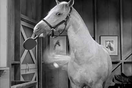 The Best Of Mr. Ed
