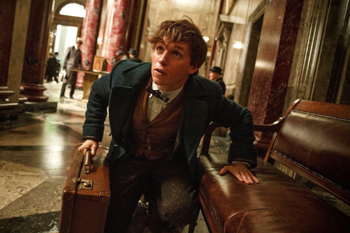 Bluray Movie Watch Fantastic Beasts And Where To Find Them 2016