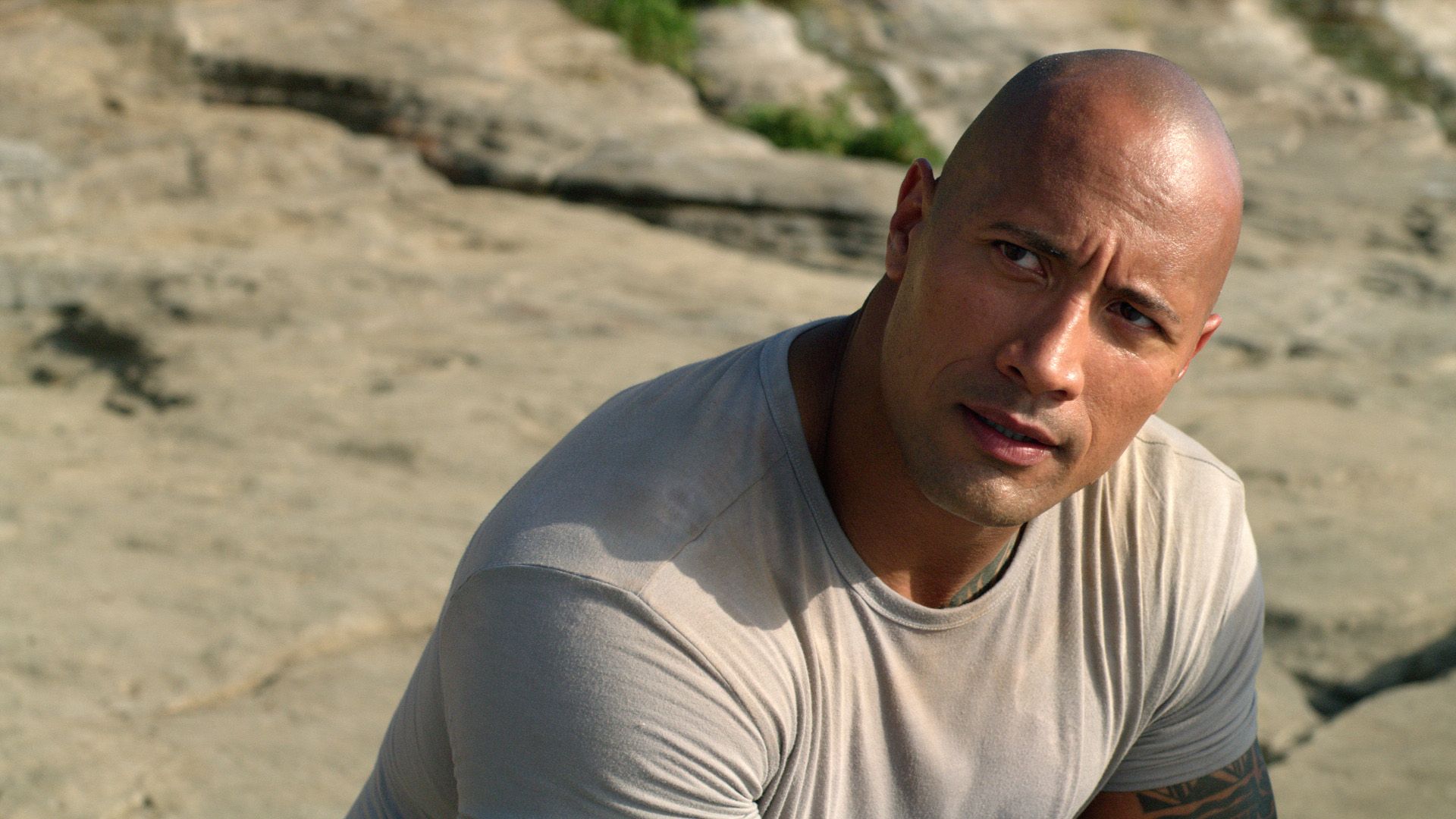 Dwayne Johnson Lines Up ‘Teddy Bear’ Adventure Film