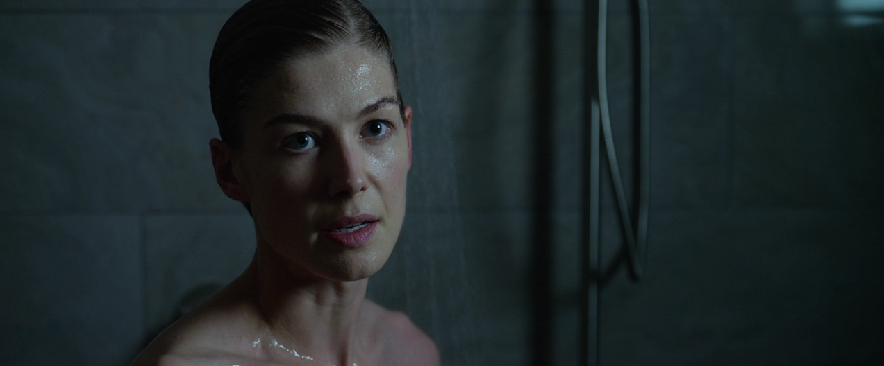 Watch Gone Girl Full Movie