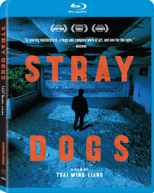 stray_dogs