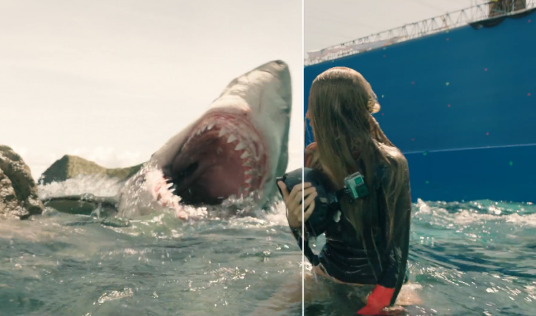 How Realistic is the Shark Science in The Shallows