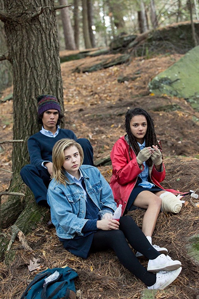 Sundance Review The Miseducation Of Cameron Post Is A