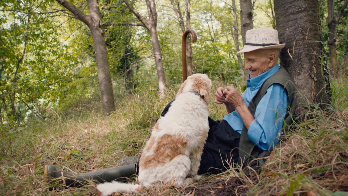 The Truffle Hunters Trailer A Delightful Culinary Search for Treasure