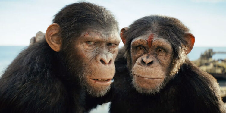 Kingdom of the Planet of the Apes Review: A Sluggish Continuation of the Franchise