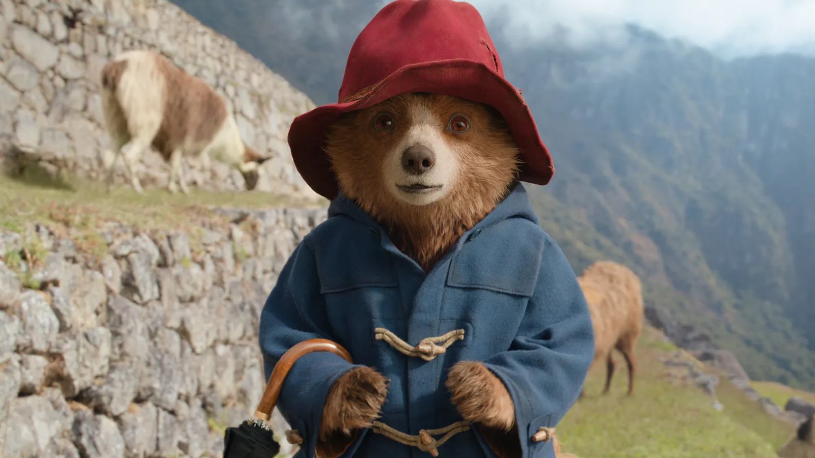 Paddington in Peru | Review Thread Entertainment | ResetEra